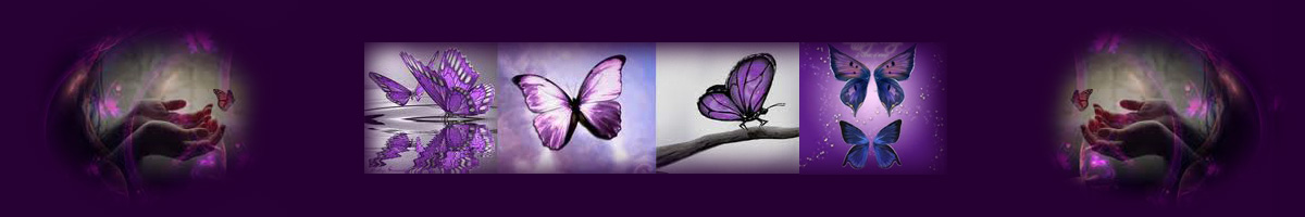 image of butterflies